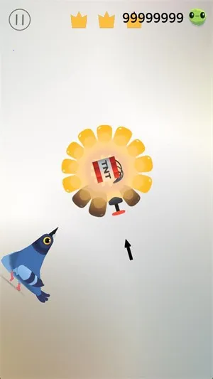 pigeon疯狂的鸽子