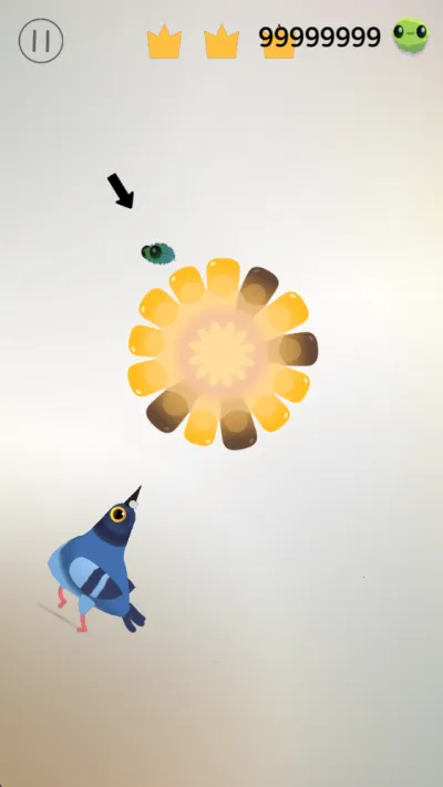 pigeon疯狂的鸽子