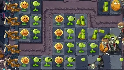 植物大战僵尸秦始皇陵