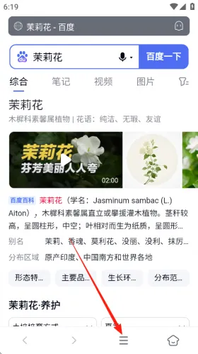 蓝奏浏览器手机版