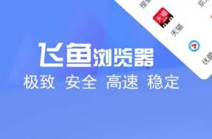 飞鱼浏览器下载安装