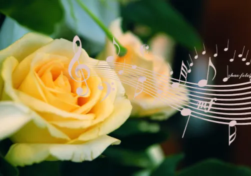 �������2026���°汾