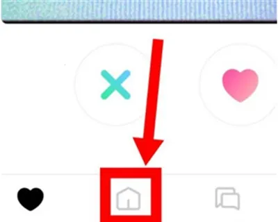 ����(�����罻ƽ̨)