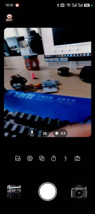 Dazz Chic�����ֻ���