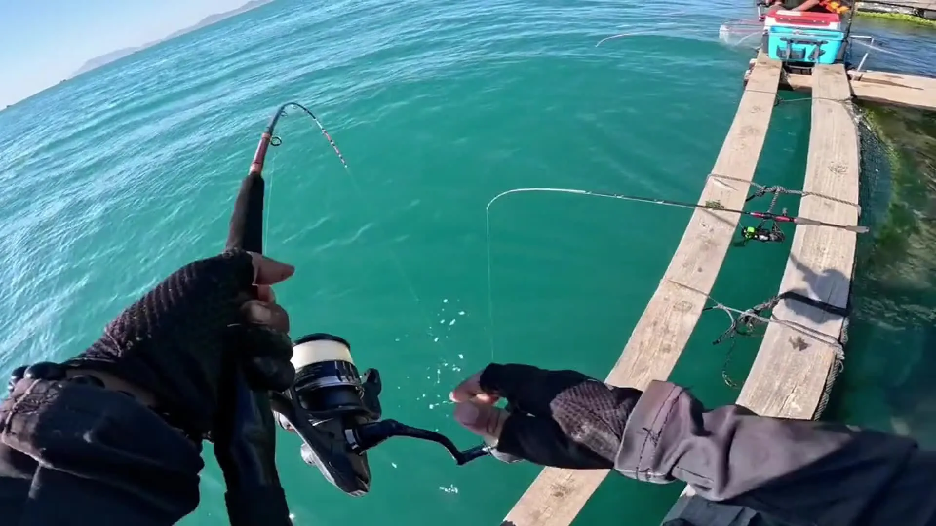 钓鱼大师兄中文版下载