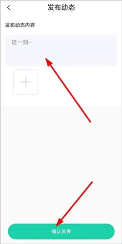 Cat Translation2026�ٷ�����