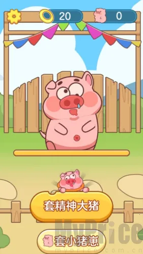 ץ�˸���2026�ٷ�����