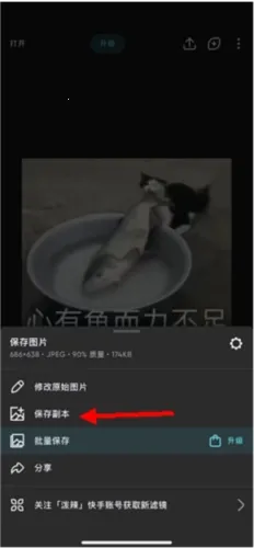 ������ͼ��Ѱ�