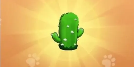 ��Ҫ��װ���ڹ�