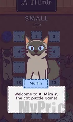 ���׶�2026���°汾