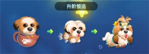 �����������ڹ�