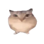 �ͰͲ�һ2026�ٷ�����v1.0 ��Ѱ�