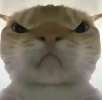 �������ж����󹤾�2026���°汾v1.0 ��׿��