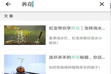 ��ɫ2026���°汾