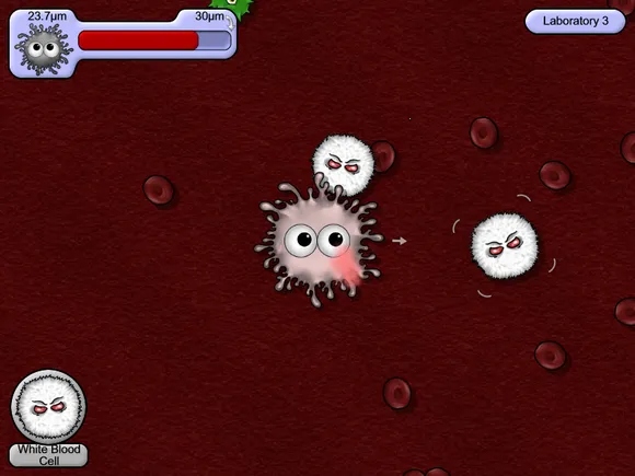 ��ζ����4�ƽ�����޽����ʯ