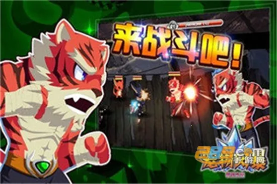 ����籩2026�ٷ����°汾