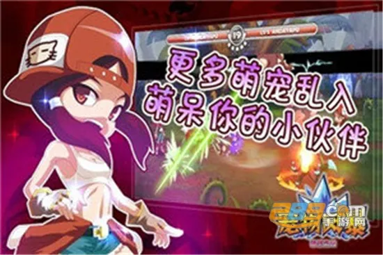 ����籩2026�ٷ����°汾