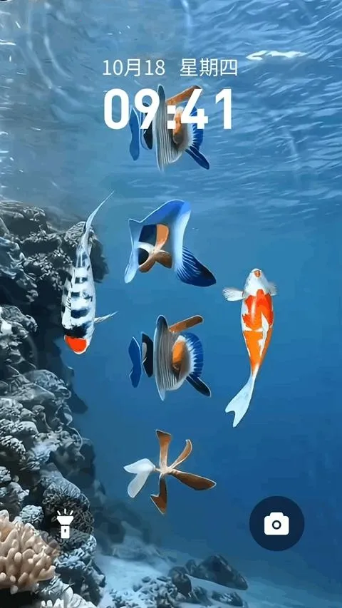 ��������ֽ2026�ٷ�����