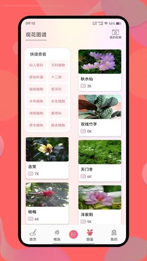 ������(���ݰٿ�����)