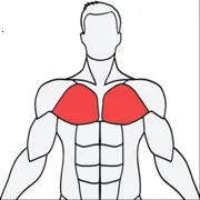 Muscle Wiki��׿���ֻ���v3.0.9 �ٷ�����