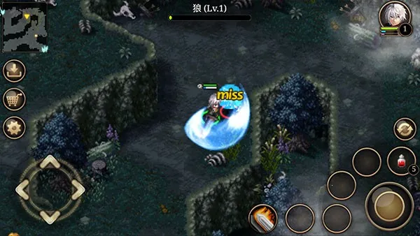 ��ŵ����5�ڰ��Ĺ�â2026���°汾