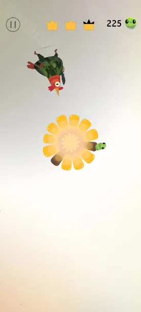 pigeon games(����������Ϸ)