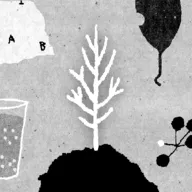 她的树(密室逃脱游戏)v1.51 官方正版