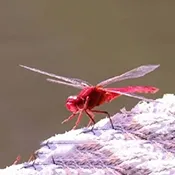 �����ѵ��Ӻ��Ӱ�׿���ֻ���v1.0 ��׿��