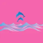 �涯��ᰲ׿���ֻ���v1.0.0 ��Ѱ�