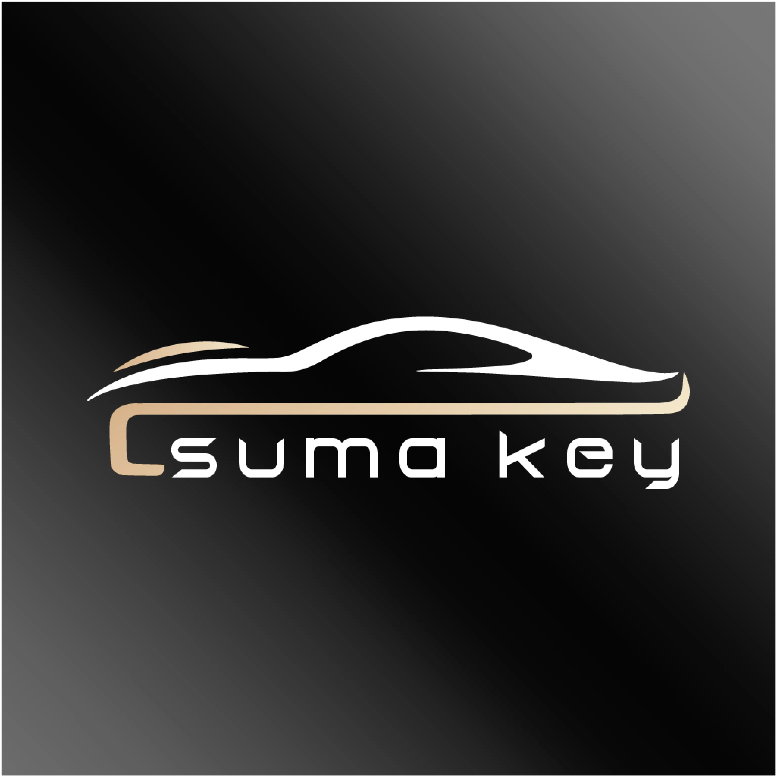 速马控安卓版手机版v26.04.08.01 官方正版