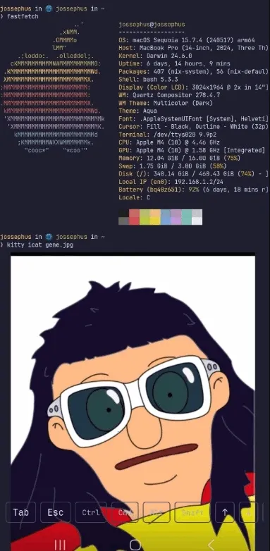 chuchu(SSH客户端工具)