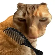 ��è��ë(��è��ë��Ϸ)v1.0 ��Ѱ�