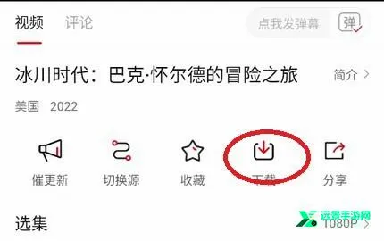 LIBVIO2026���°汾