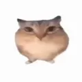 �ͰͲ�һ���������ֻ���v1.0 �ٷ�����