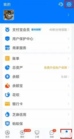 酷喵2026最新版本v13.3.1.3 免费版