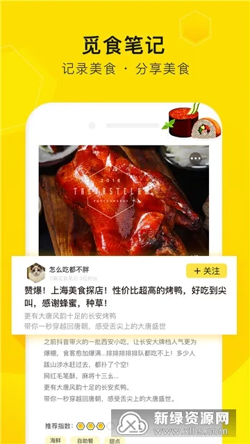 觅食蜂(美食社区平台) 觅食蜂(美食社区平台)