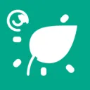 叶落知秋(节气美学工具)v1.0.1 安卓版