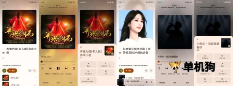 Rhythm(音乐播放软件)
