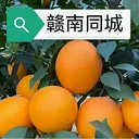 ����ͬ��(ͬ���������)v15.7.4 �ٷ�����