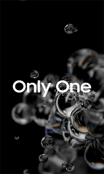 Only One�����ֻ���