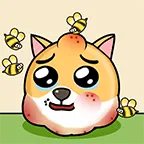 我的狗狗2026最新版本v1.0.8.6 官方正版
