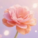 үү�İٲ��û���(�ʻ�����Ӧ��)v1.5 �ٷ�����